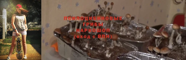 наркотики Богородск