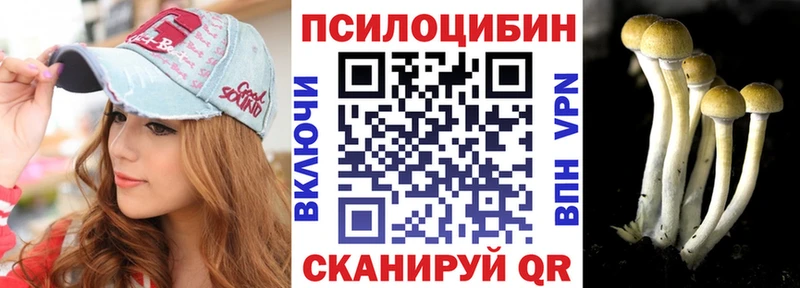 Псилоцибиновые грибы Psilocybe  Екатеринбург 